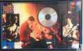 Disque de Platine "Le Birthday Album" (taille: 50x28cm)