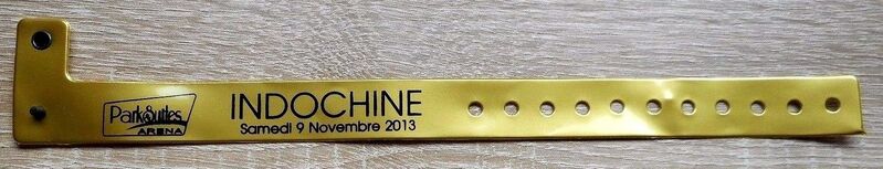 Fichier:2013-11-09 - Montpellier - Park & Suites Arena - Bracelet VIP et Loge 2.jpg